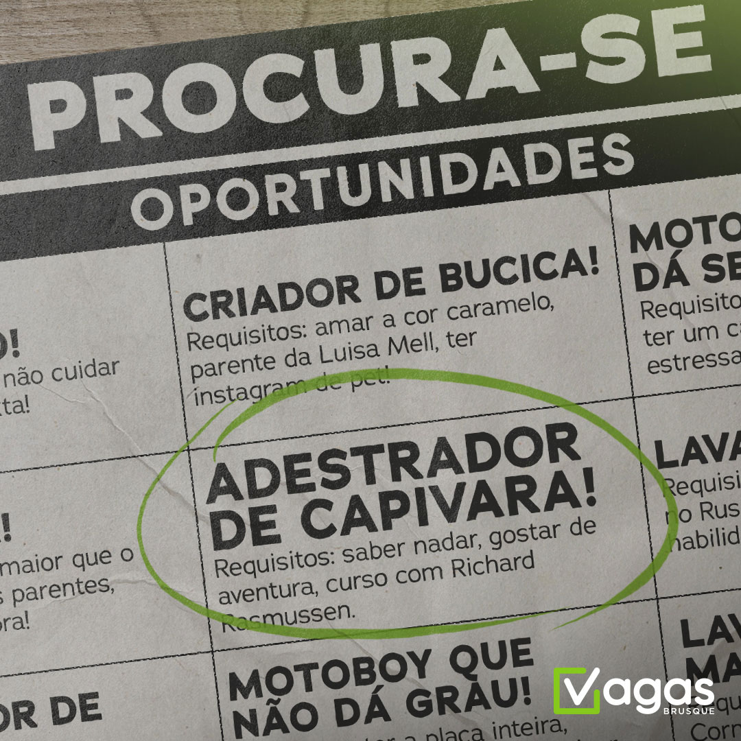 Campanha Publicitária para Vagas Brusque 5
