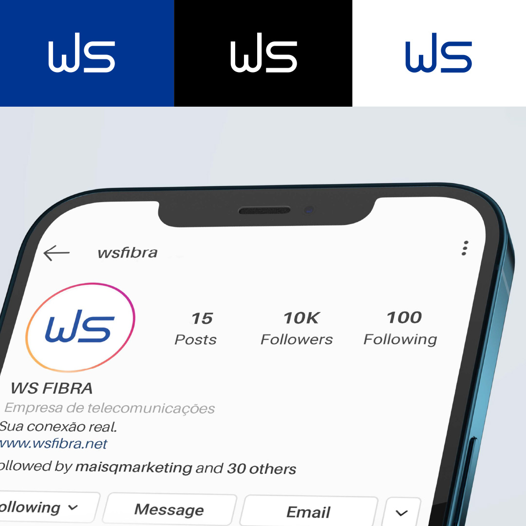 Redesign de Logotipo para WS Fibra 6